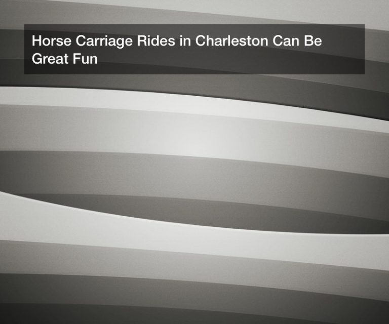 Horse Carriage Rides in Charleston Can Be Great Fun