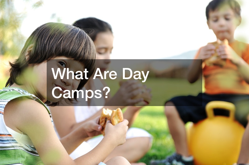 What Are Day Camps?