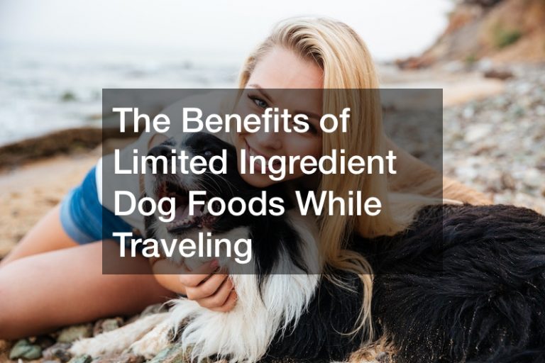 The Benefits of Limited Ingredient Dog Foods While Traveling